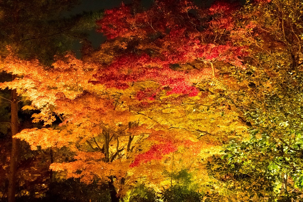 秋の京都（26）