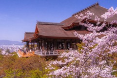 京都の春（６）