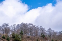 12月の高知（44）