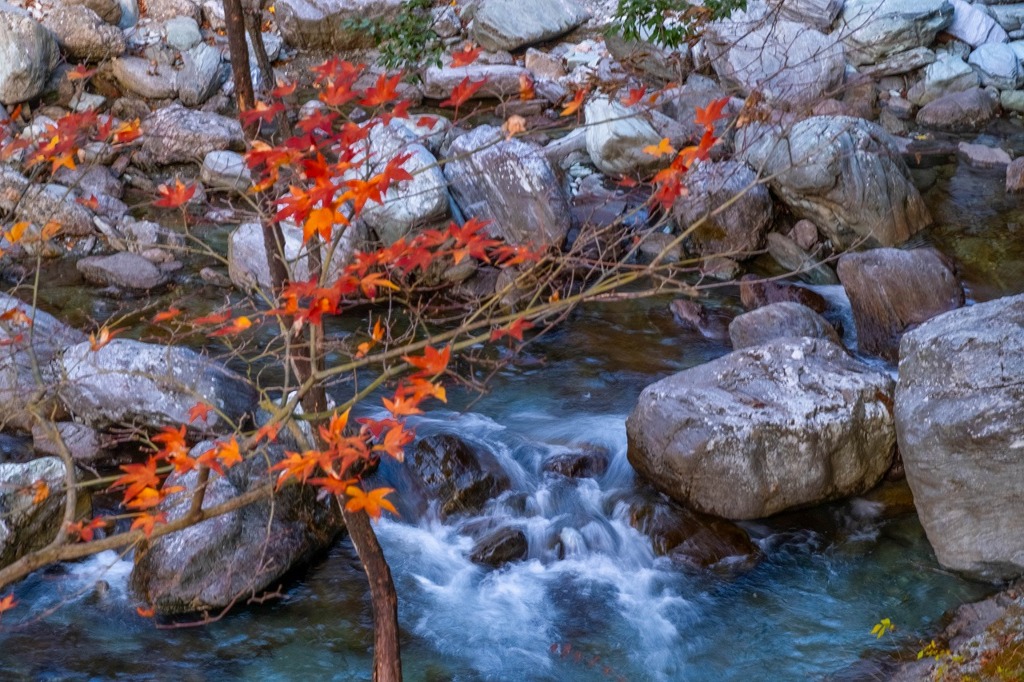 12月の高知（56）