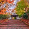 秋の京都（19）
