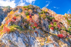 黒部立山ルペンルート（６）