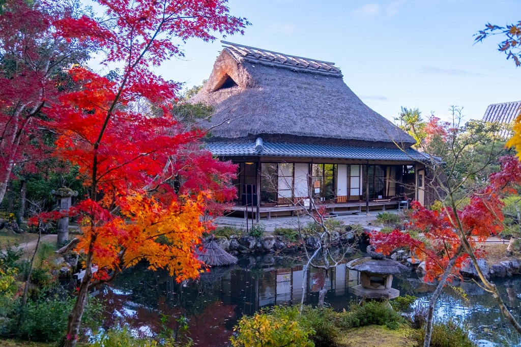 12月の奈良（16）