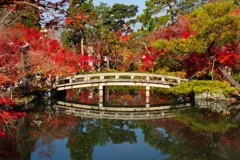 秋の京都（12）