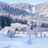 冬の志賀高原（２）