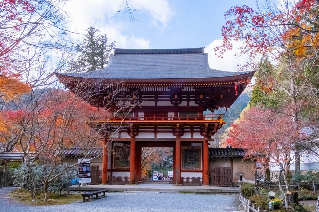 12月の奈良（29）
