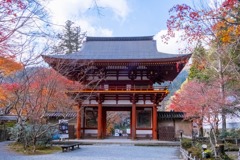 12月の奈良（29）