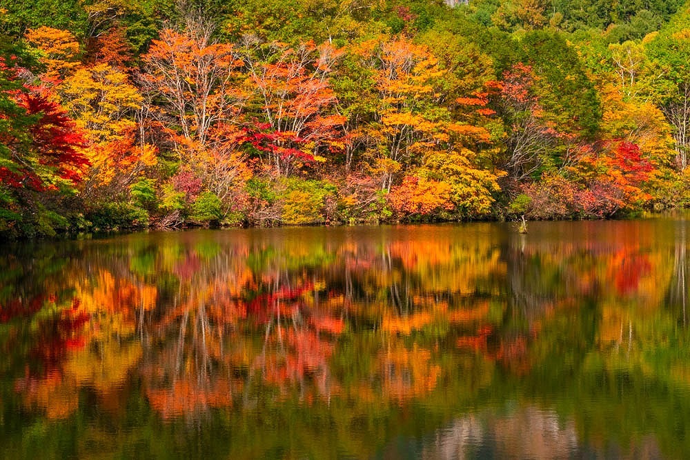 紅葉の鏡池（２）