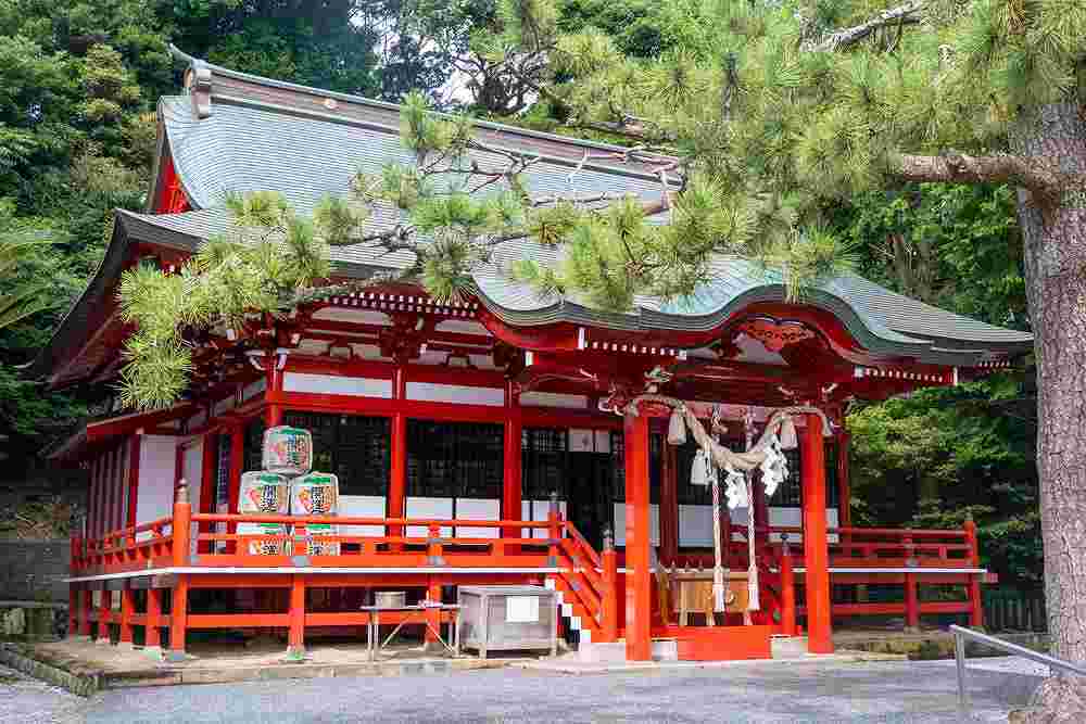 桜ヶ池（３）