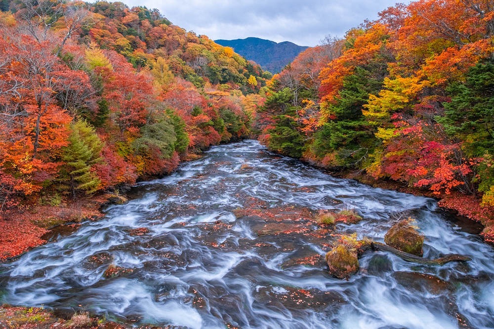 竜頭の滝（5）
