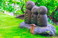 梅雨の鎌倉（２）