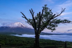 山中湖の雲海（３）