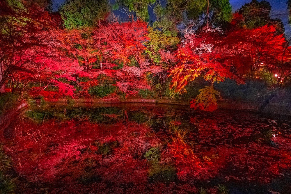 京都の夜景（６）