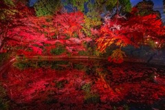 京都の夜景（６）
