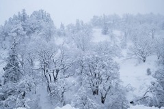 冬の清津狭（２）