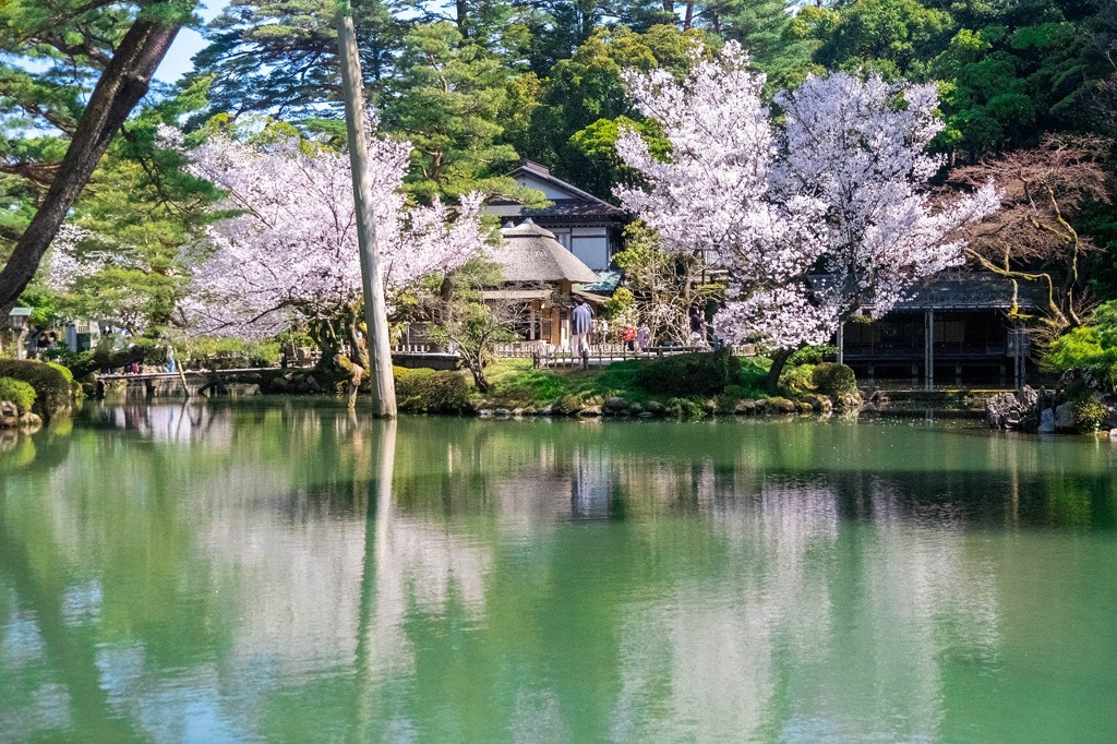 春の兼六園（３）