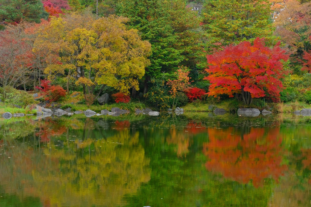 昭和記念公園５