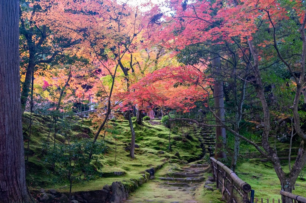 湖東の秋（11）