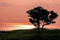 知床の夕暮れ（１）