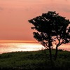 知床の夕暮れ（１）