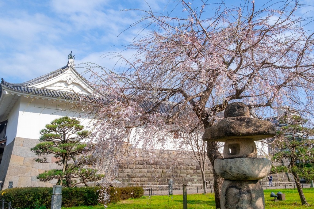 春の駿府城公園（６）