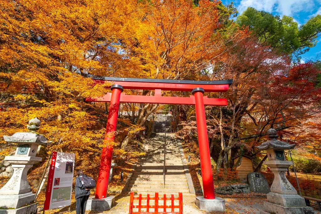 12月の奈良（35）