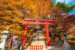 12月の奈良（35）