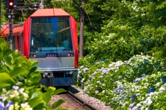 あじさい電車（２）