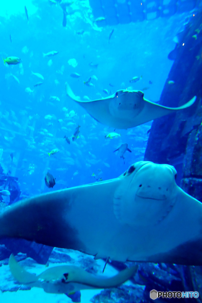 水族館の中２