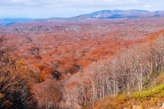 秋の十和田湖（３）