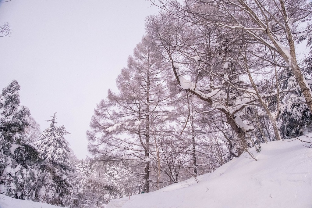 雪の志賀高原（７）