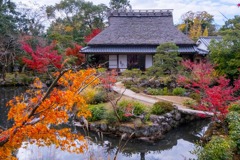 12月の奈良（11）