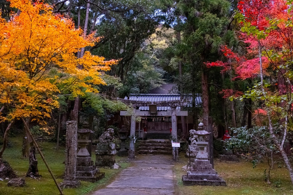 12月の高知（10）