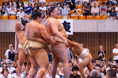 大相撲静岡場所（13）