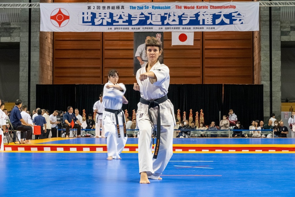 総極真世界空手道選手権大会（１）