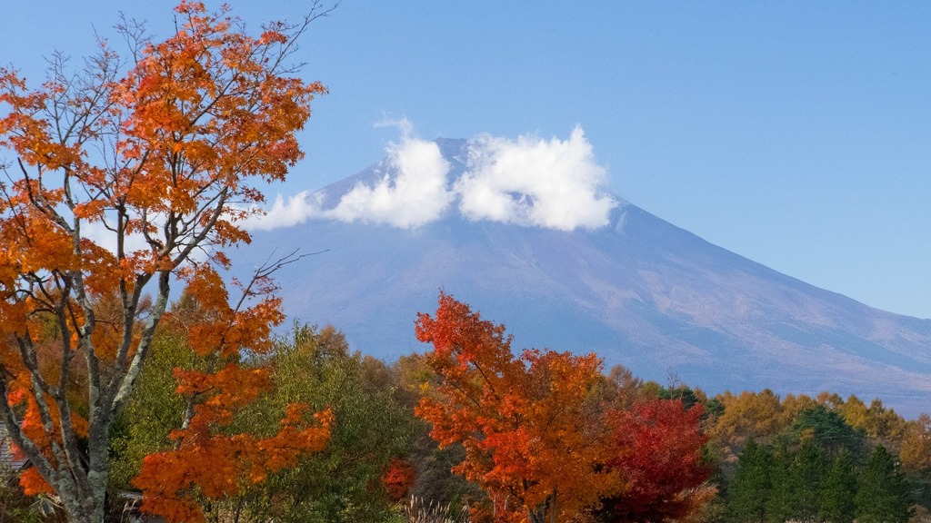 山中湖の紅葉（５）