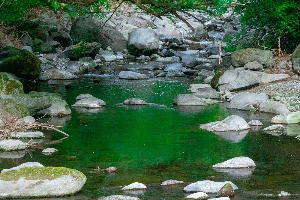 新緑の箱根（３）