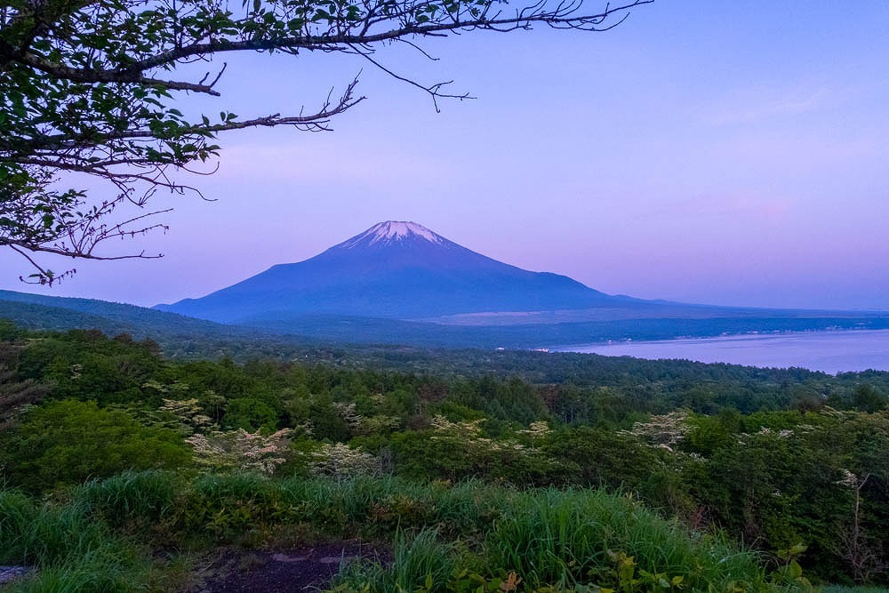 6月の山中湖（１）