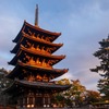 夕日に染まる興福寺（２）
