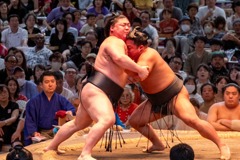 大相撲名古屋場所（15）