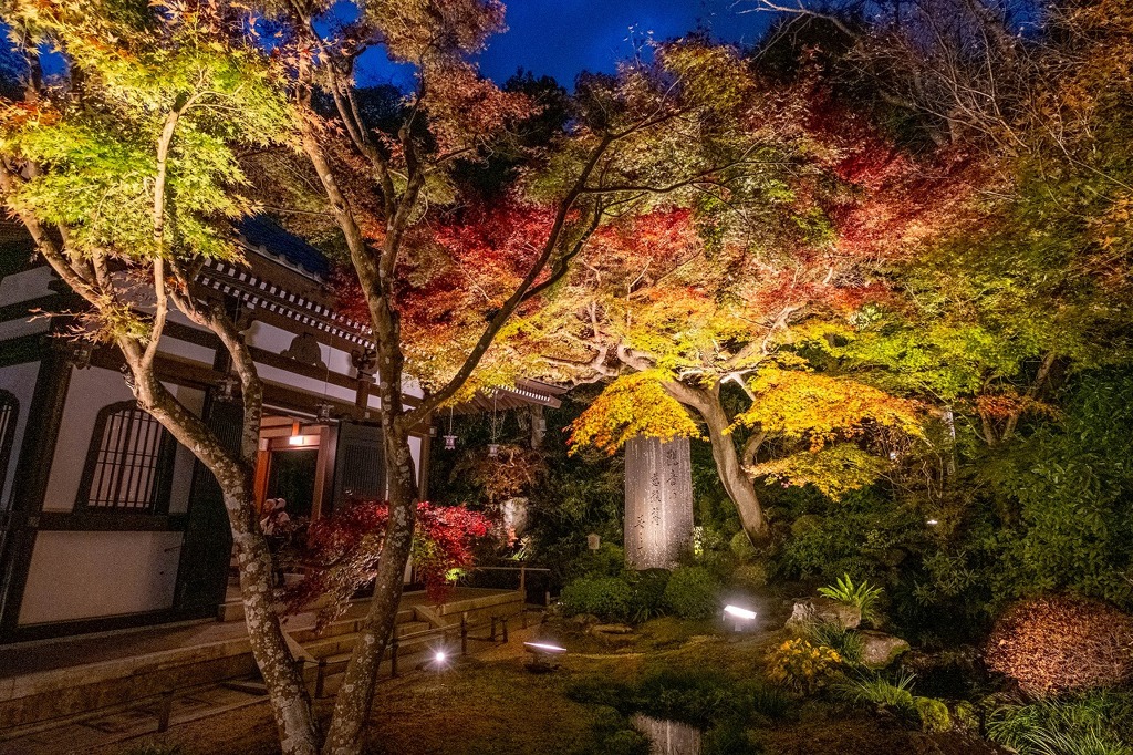夜の長谷寺（10）