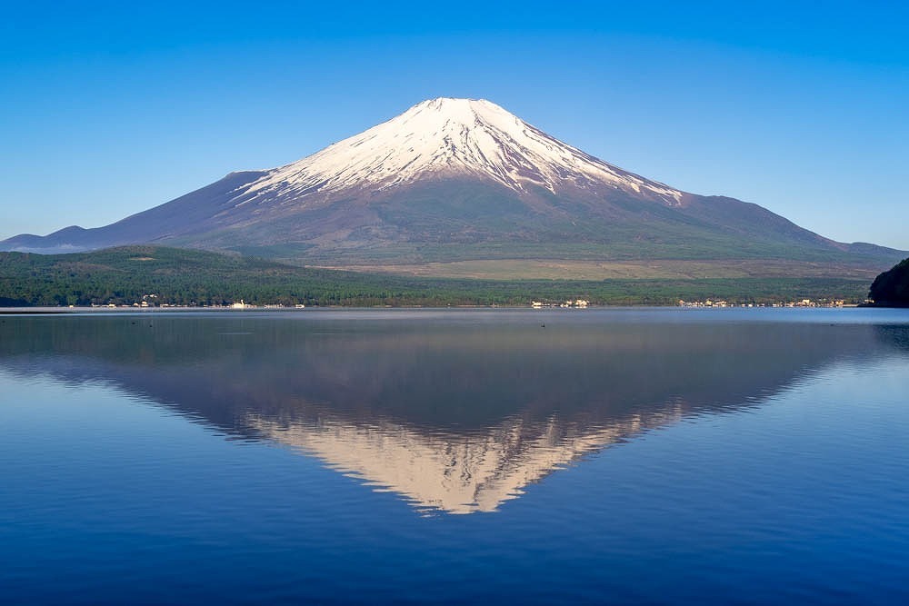新緑の富士山（１）