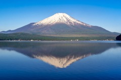 新緑の富士山（１）