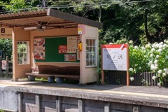 あじさい電車（４）