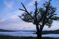 山中湖の雲海（４）