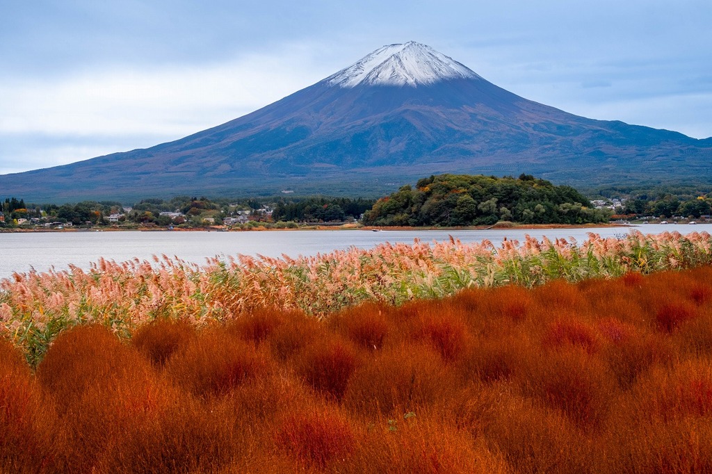 秋の富士五湖2025（４）