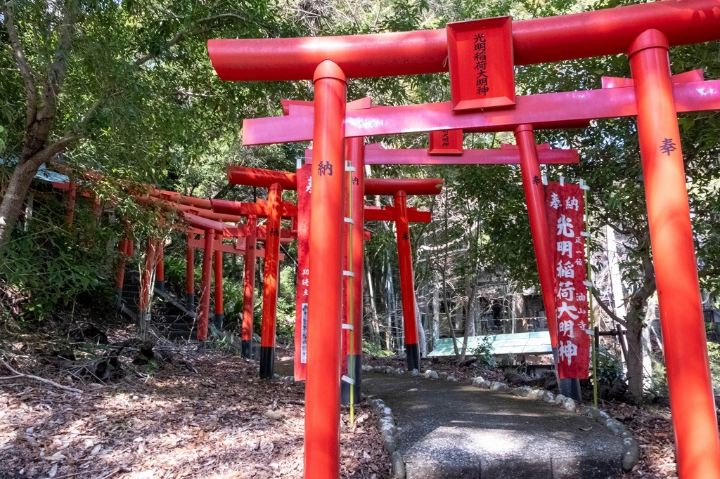 春の油山寺（３）