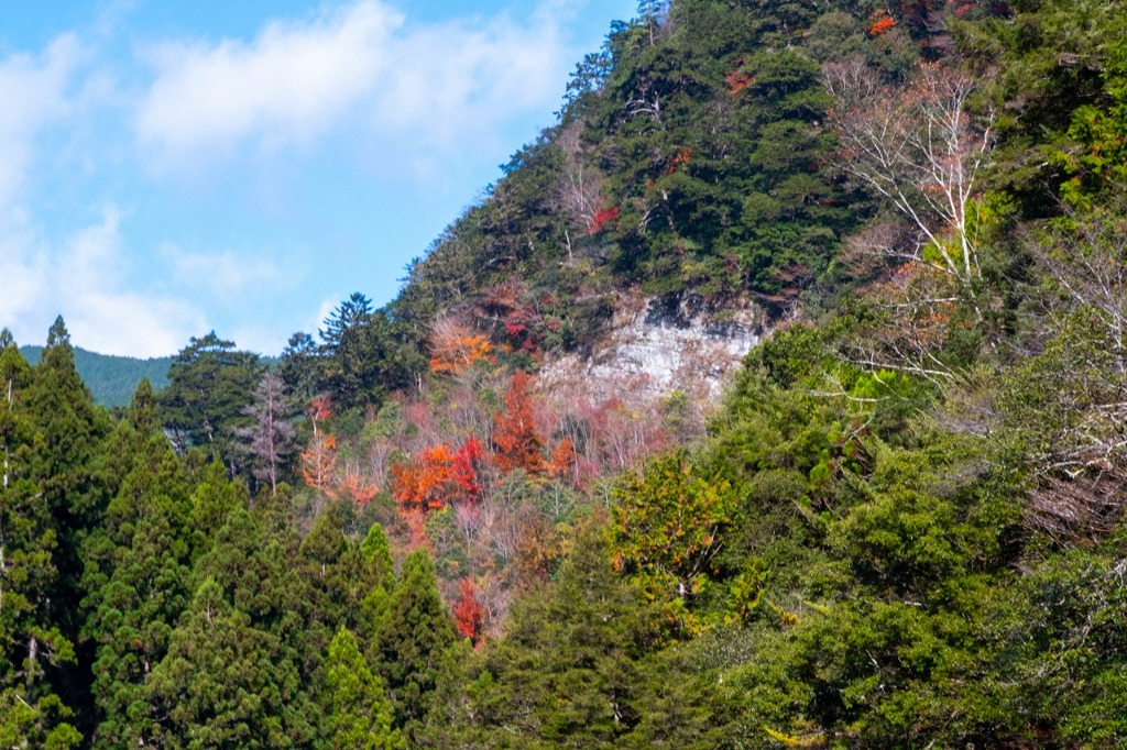 12月の高知（55）