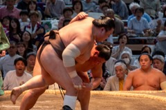 大相撲名古屋場所（11）