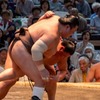 大相撲名古屋場所（11）